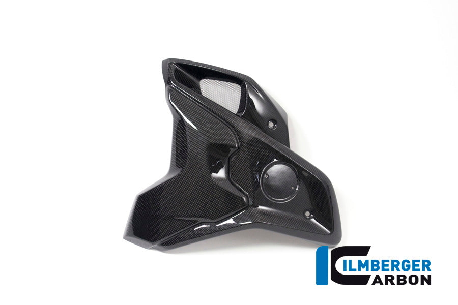 Ilmberger Carbon Airtube Left Side Complete INCL Flap for the BMW R 1200 GS 2017