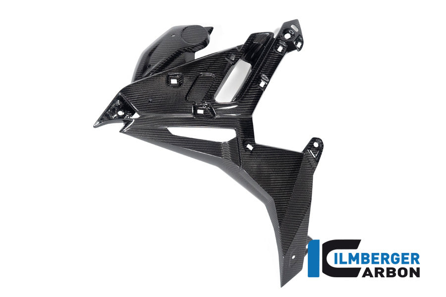 Ilmberger Carbon Watercooler Cover, Left for the BMW M 1000 R 2023-2024