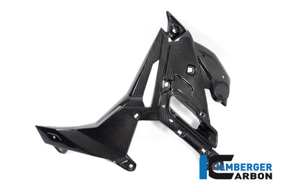Ilmberger Carbon Watercooler Cover, Left for the BMW M 1000 R 2023-2024