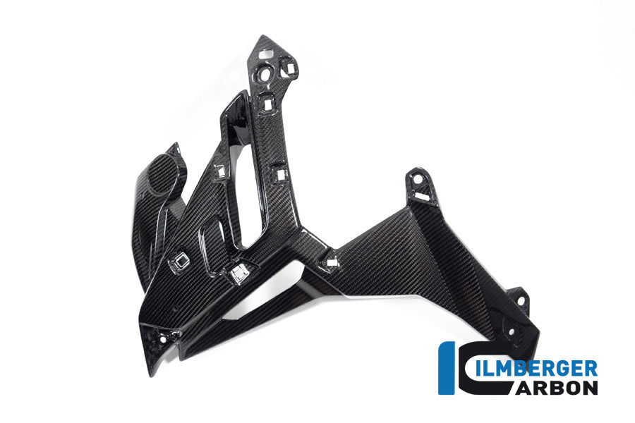 Ilmberger Carbon Watercooler Cover, Left for the BMW M 1000 R 2023-2024
