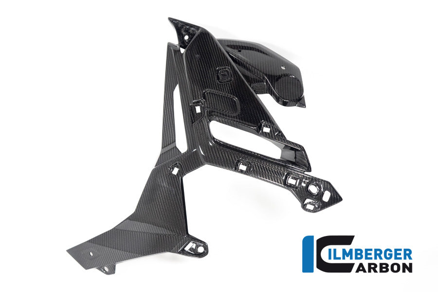 Ilmberger Carbon Watercooler Cover, Left for the BMW M 1000 R 2023-2024