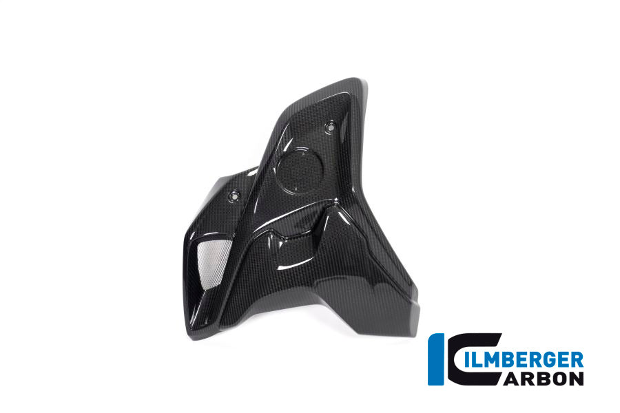 Ilmberger Carbon Airtube Left INCL. Flap (2 Pieces) for the BMW R 1250 GS 2019