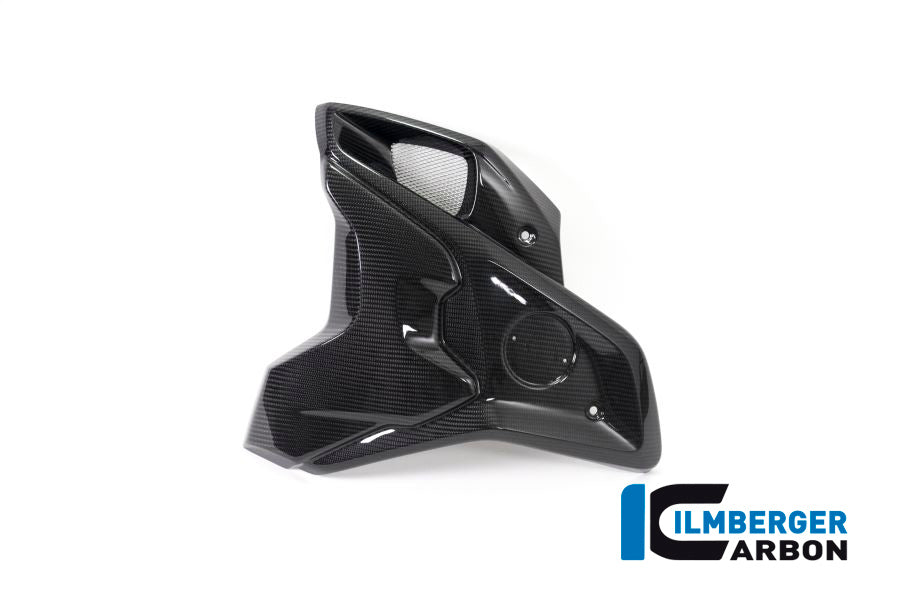 Ilmberger Carbon Airtube Left INCL. Flap (2 Pieces) for the BMW R 1250 GS 2019