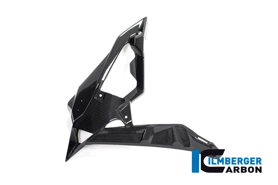 Ilmberger Carbon Radiator Cover / Badge Holder, Left Side for the BMW S 1000 R 2017