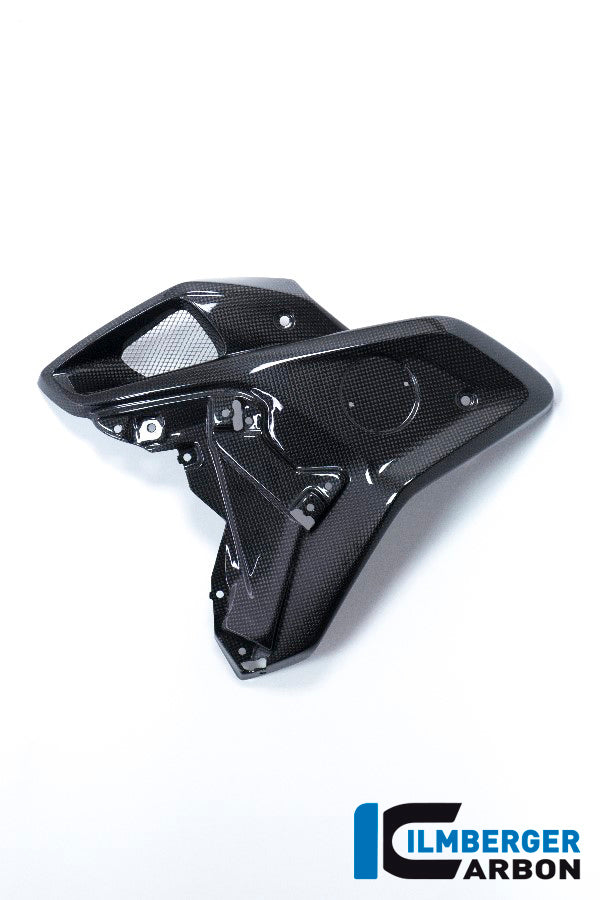 Ilmberger Carbon Airtube Left Side for the BMW R 1200 GS 2017