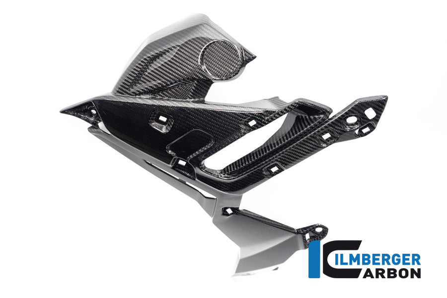 Ilmberger Carbon Watecooler Cover, Left Side for the BMW S 1000 R 2021