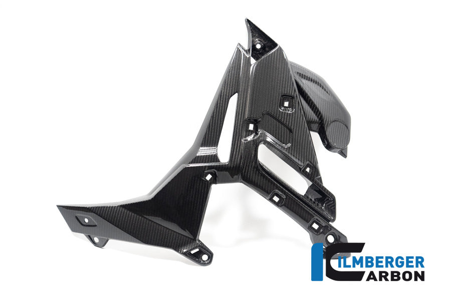 Ilmberger Carbon Watecooler Cover, Left Side for the BMW S 1000 R 2021