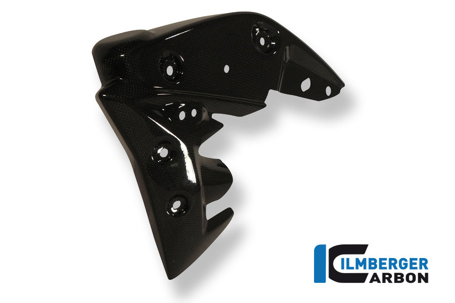 Ilmberger Carbon Radiator Cover Left, for the Triumph Speed Triple '11-25