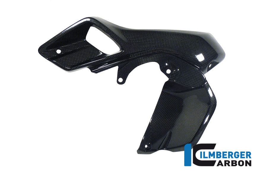 Ilmberger Carbon Air Tube Left (Upper Watercooler Cover), Carbon for the BMW R 1200 GS 2013-2016