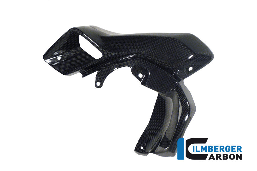 Ilmberger Carbon Air Tube Left (Upper Watercooler Cover), Carbon for the BMW R 1200 GS 2013-2016