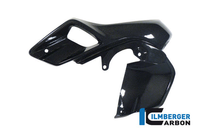 Ilmberger Carbon Air Tube Left (Upper Watercooler Cover), Carbon for the BMW R 1200 GS 2013-2016