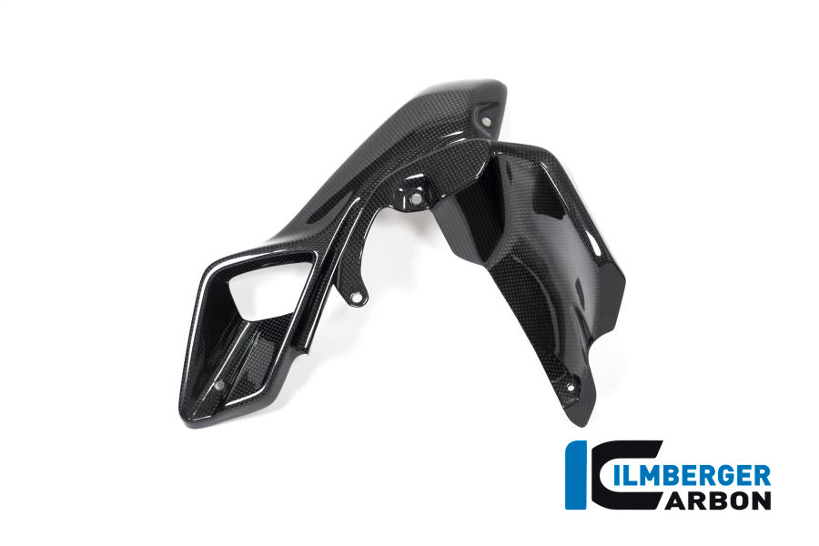 Ilmberger Carbon Air Tube Left (Upper Watercooler Cover), Carbon for the BMW R 1200 GS 2013-2016