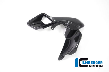 Ilmberger Carbon Air Tube Left (Upper Watercooler Cover), Carbon for the BMW R 1200 GS 2013-2016