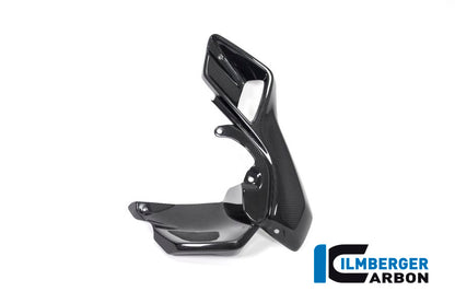Ilmberger Carbon Air Tube Left (Upper Watercooler Cover), Carbon for the BMW R 1200 GS 2013-2016