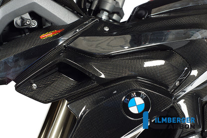 Ilmberger Carbon Air Tube Left (Upper Watercooler Cover), Carbon for the BMW R 1200 GS 2013-2016