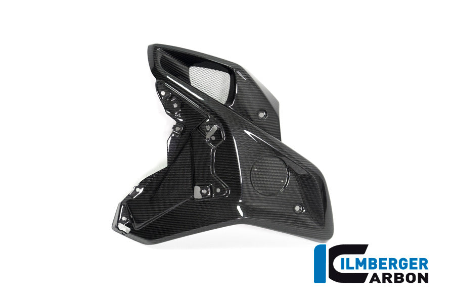 Ilmberger Carbon Airtube Left Side (for Orig. Stainless Steel Deflector) for the BMW R 1250 GS 2019