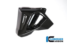 Ilmberger Carbon Radiator Cover (Left Side) for the BMW F 800 R 2015