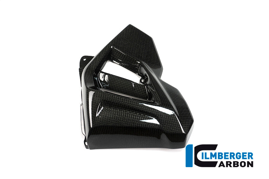 Ilmberger Carbon Radiator Cover (Left Side) for the BMW F 800 R 2015