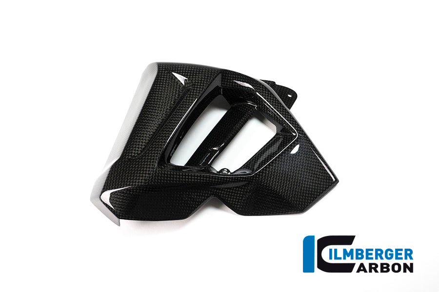 Ilmberger Carbon Radiator Cover (Left Side) for the BMW F 800 R 2015