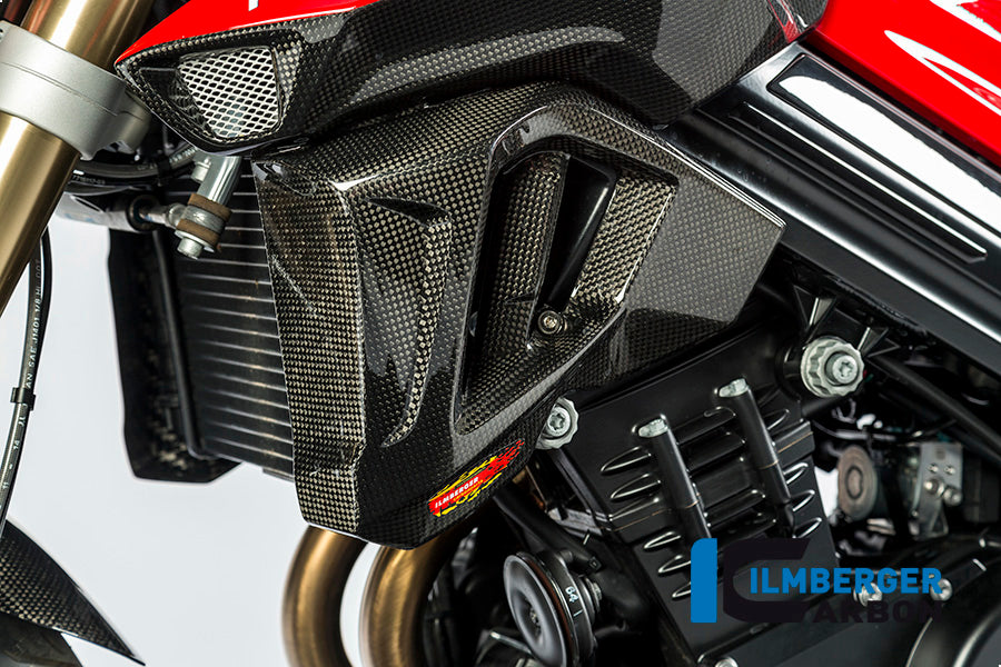 Ilmberger Carbon Radiator Cover (Left Side) for the BMW F 800 R 2015