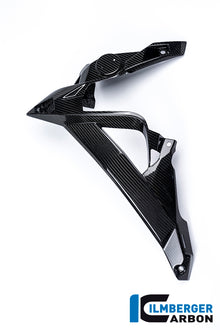 Ilmberger Carbon Watercooler Cover, Left Side Carbon for the BMW S 1000 R 2014-2017