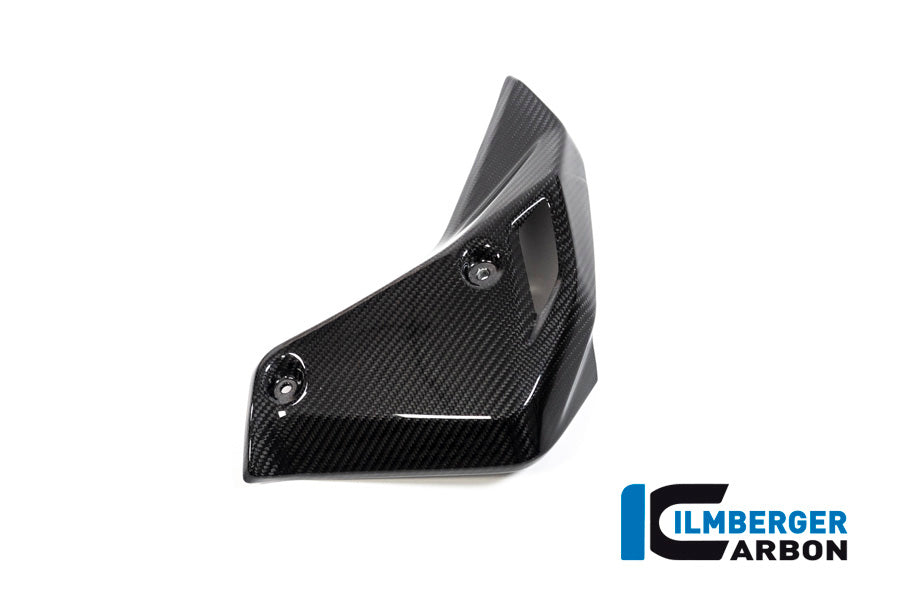 Ilmberger Carbon Watercooler Cover, Right Side for the BMW R 1250 R 2019
