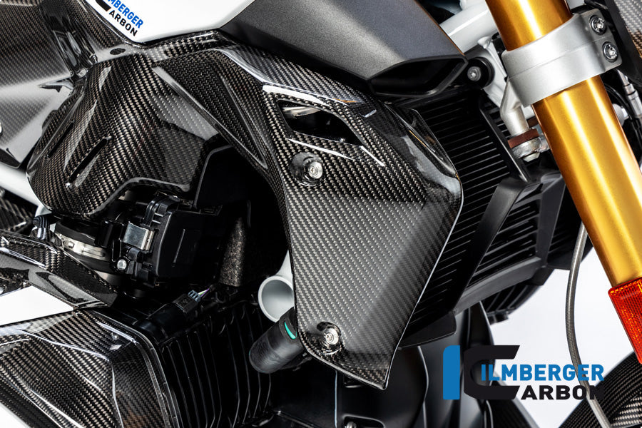 Ilmberger Carbon Watercooler Cover, Right Side for the BMW R 1250 R 2019