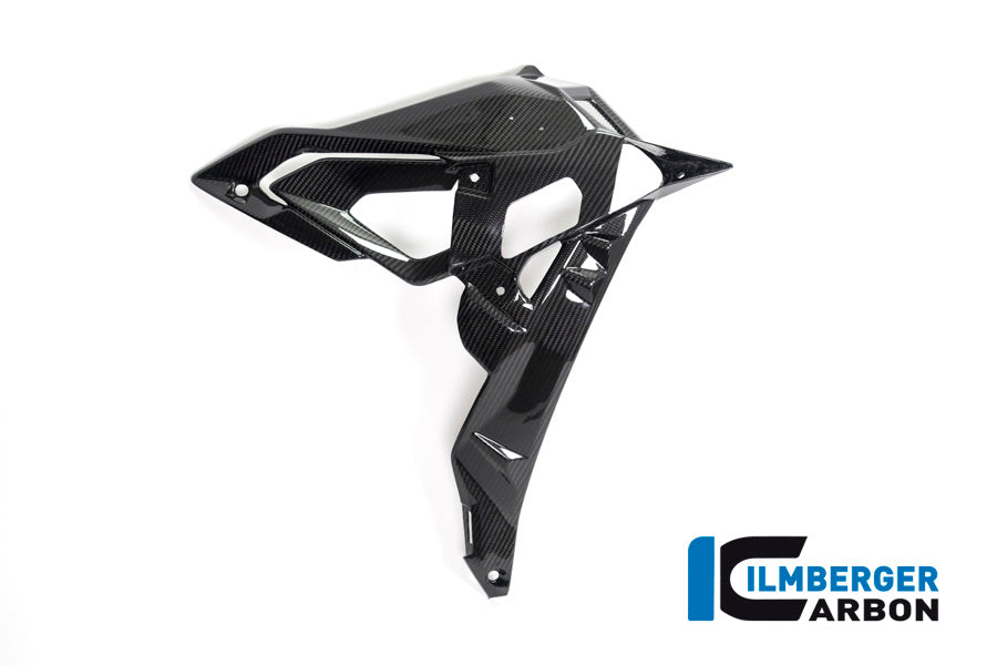 Ilmberger Carbon Radiator Cover / Badge Holder, Right Side for the BMW S 1000 R 2017