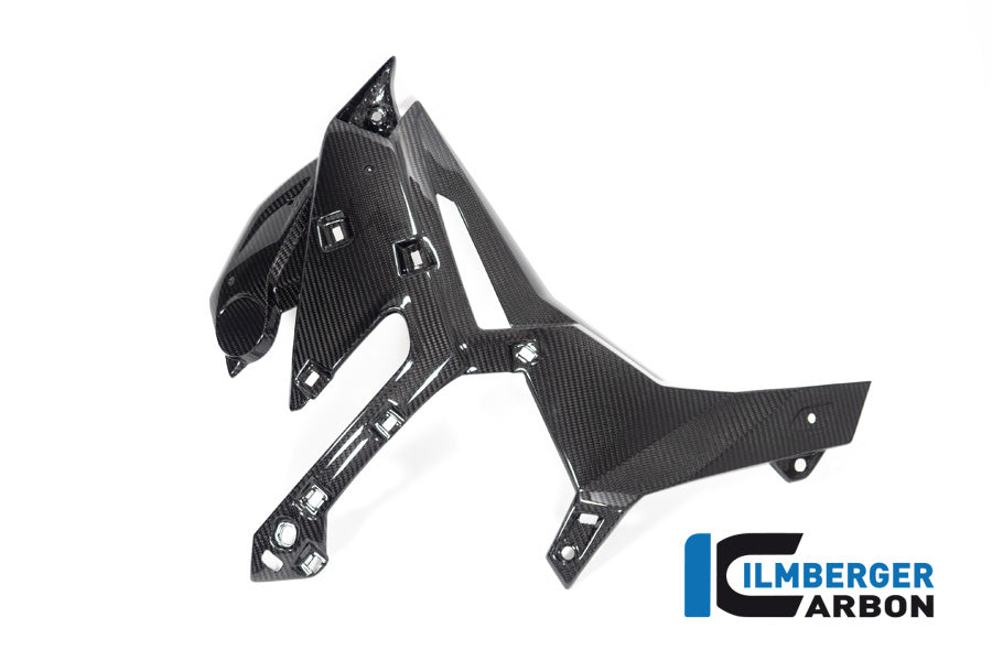 Ilmberger Carbon Watercooler Cover, Right for the BMW M 1000 R 2023-2024