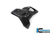Ilmberger Carbon Airtube Right INCL. Flap (2 Pieces) for the BMW R 1250 GS 2019