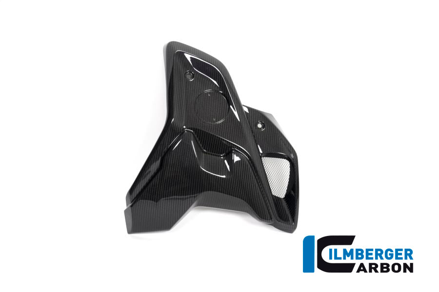 Ilmberger Carbon Airtube Right INCL. Flap (2 Pieces) for the BMW R 1250 GS 2019