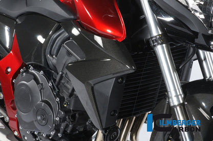 Ilmberger Carbon Radiator Cover Right, for the Honda CB 1000 R '08
