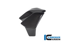 Ilmberger Carbon Radiator Cover Right for the Ducati Diavel 1260 2019