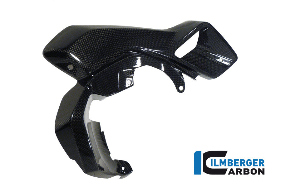 Ilmberger Carbon Air Tube Right (Upper Watercooler Cover), Carbon for the BMW R 1200 GS 2013-2016