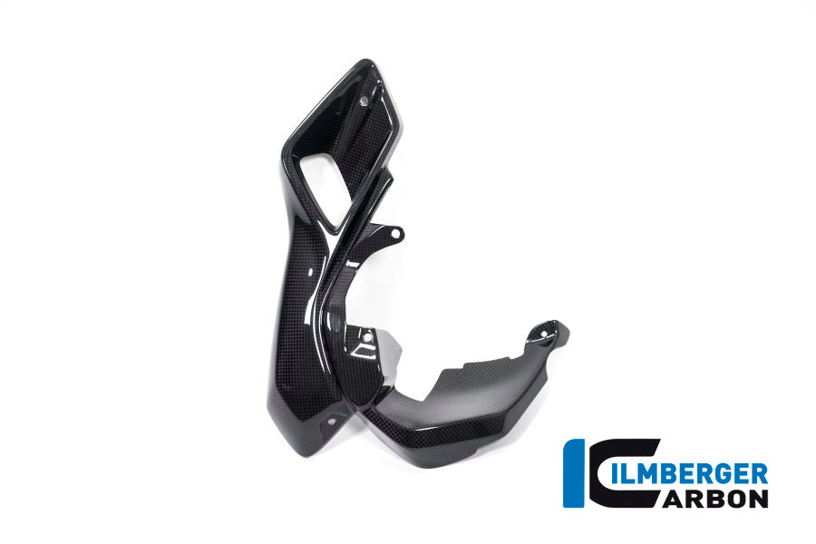 Ilmberger Carbon Air Tube Right (Upper Watercooler Cover), Carbon for the BMW R 1200 GS 2013-2016