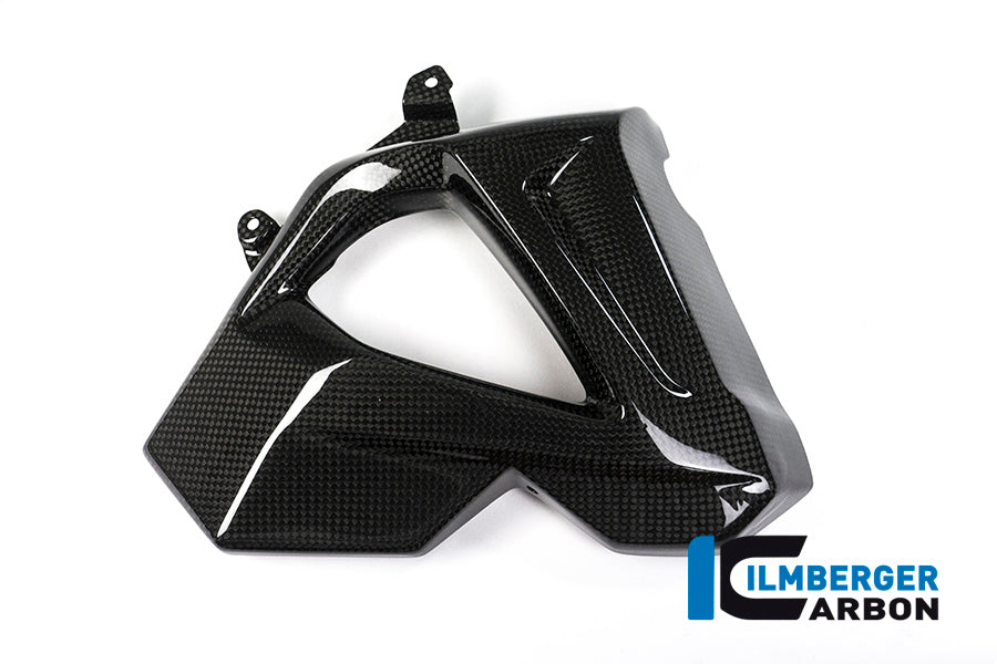 Ilmberger Carbon Radiator Cover (Right Side) for the BMW F 800 R 2015