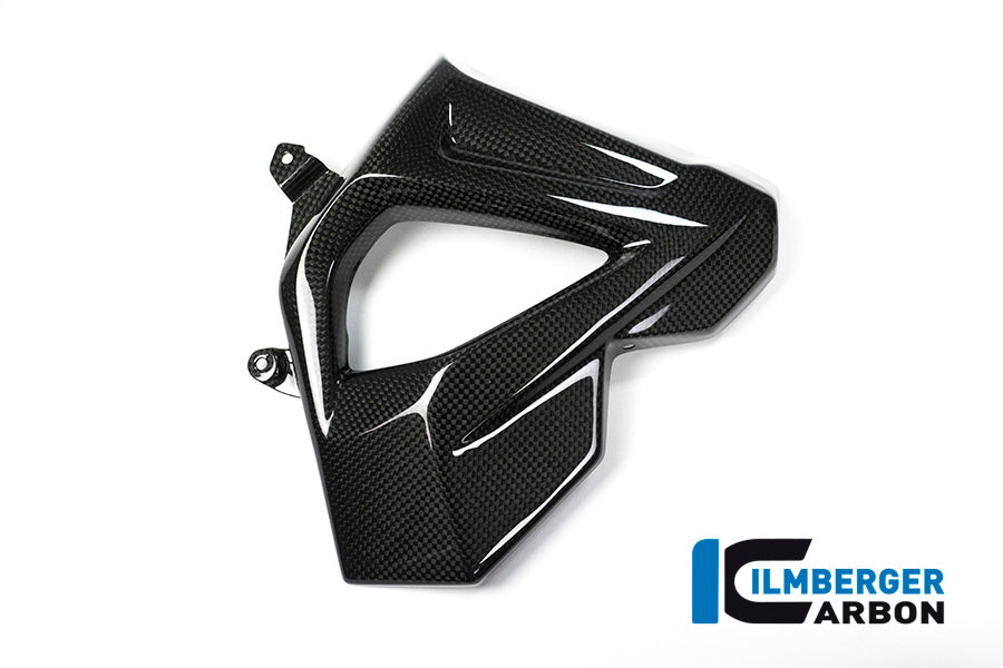 Ilmberger Carbon Radiator Cover (Right Side) for the BMW F 800 R 2015