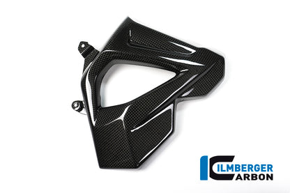 Ilmberger Carbon Radiator Cover (Right Side) for the BMW F 800 R 2015