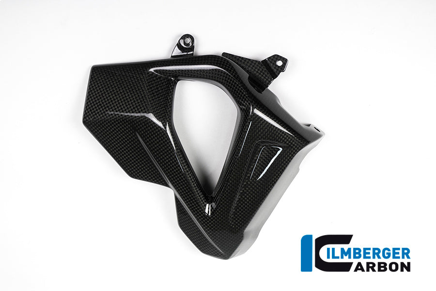 Ilmberger Carbon Radiator Cover (Right Side) for the BMW F 800 R 2015