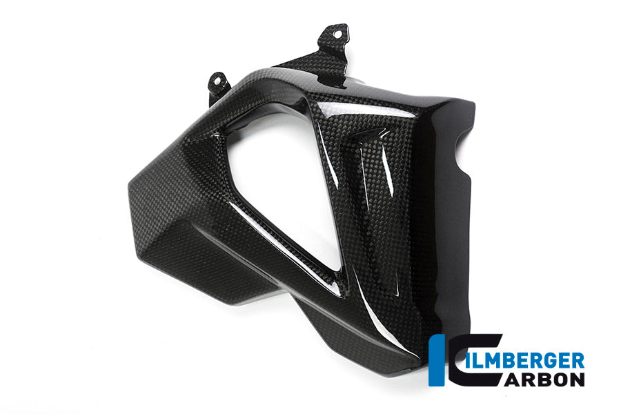 Ilmberger Carbon Radiator Cover (Right Side) for the BMW F 800 R 2015