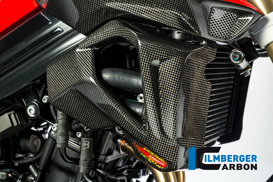 Ilmberger Carbon Radiator Cover (Right Side) for the BMW F 800 R 2015