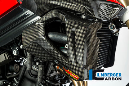 Ilmberger Carbon Radiator Cover (Right Side) for the BMW F 800 R 2015