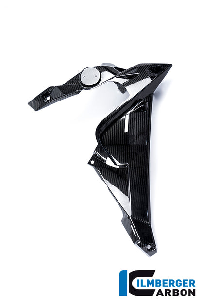 Ilmberger Carbon Watercooler Cover, Right Side Carbon for the BMW S 1000 R 2014-2017