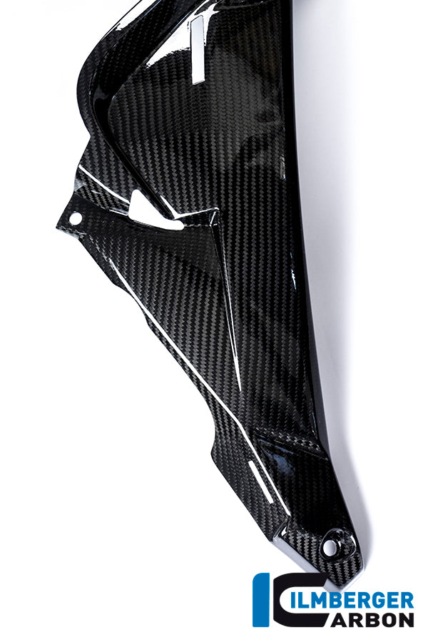 Ilmberger Carbon Watercooler Cover, Right Side Carbon for the BMW S 1000 R 2014-2017
