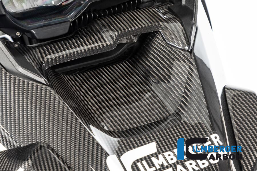 Ilmberger Carbon Windchannel on the Front Beak for the BMW R 1250 GS 2019