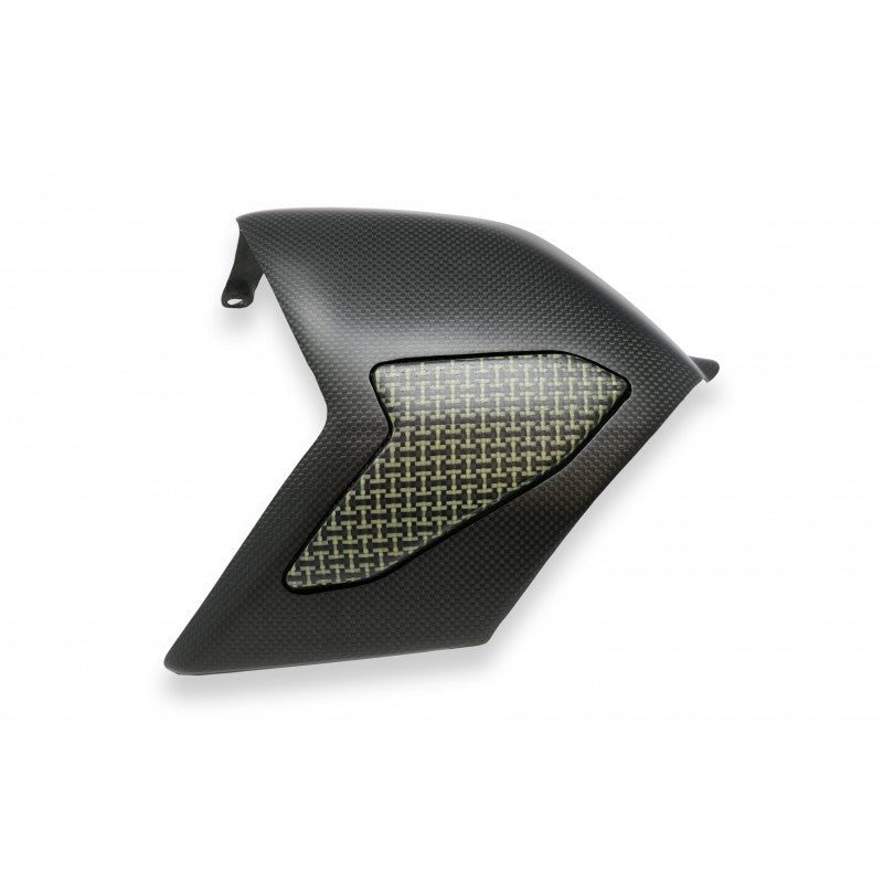 CNC Racing Carbon Fiber / Kevlar Swingarm Cover for Ducati Panigale V4 / S / R / Speciale