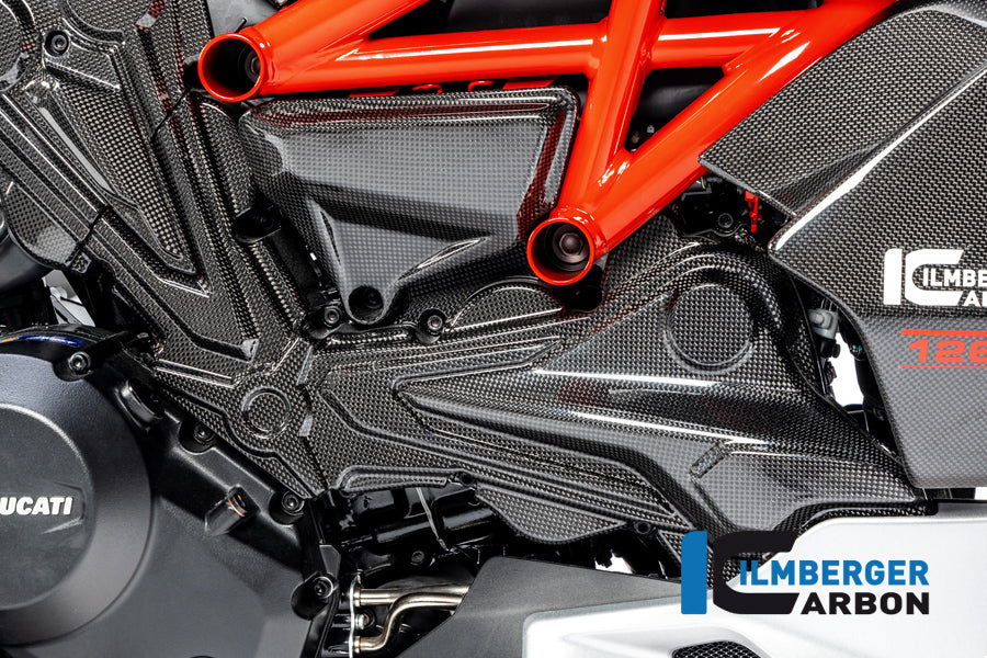 Ilmberger Carbon Cambelt Cover Horizontal Cylinder for the Ducati Diavel 1260 2019