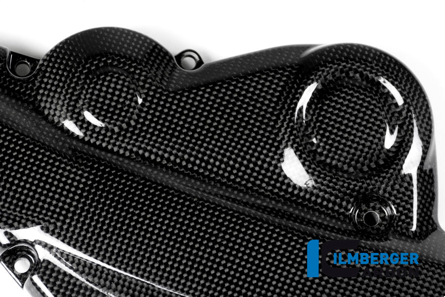 Ilmberger Carbon Beltcover for the Ducati Monster 1200 /1200 S/R '14-17 / Monster 821 '14-17