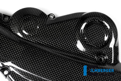 Ilmberger Carbon Beltcover for the Ducati Monster 1200 /1200 S/R '14-17 / Monster 821 '14-17