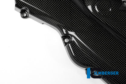 Ilmberger Carbon Beltcover for the Ducati Monster 1200 /1200 S/R '14-17 / Monster 821 '14-17